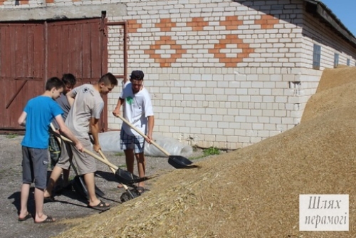 На Вилейщине работают студотряды