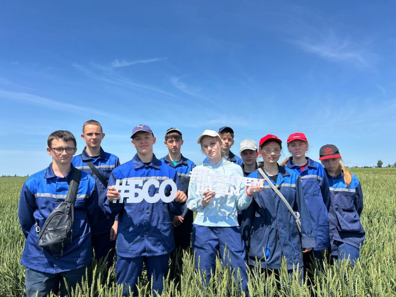 В Минской области не утихает работа студенческих отрядов!