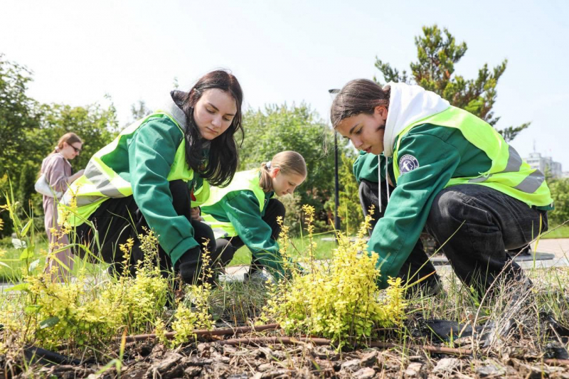 Лето в самом разгаре - студенческие отряды Минщины в деле